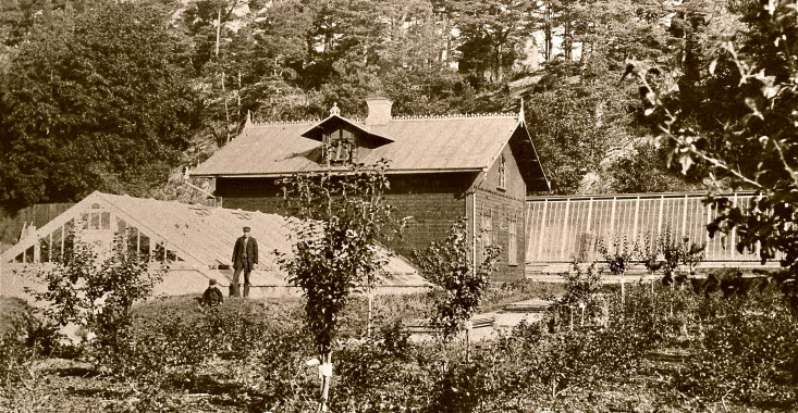 Gammalt svartvitt foto av trädgård med hus och växthus. 
