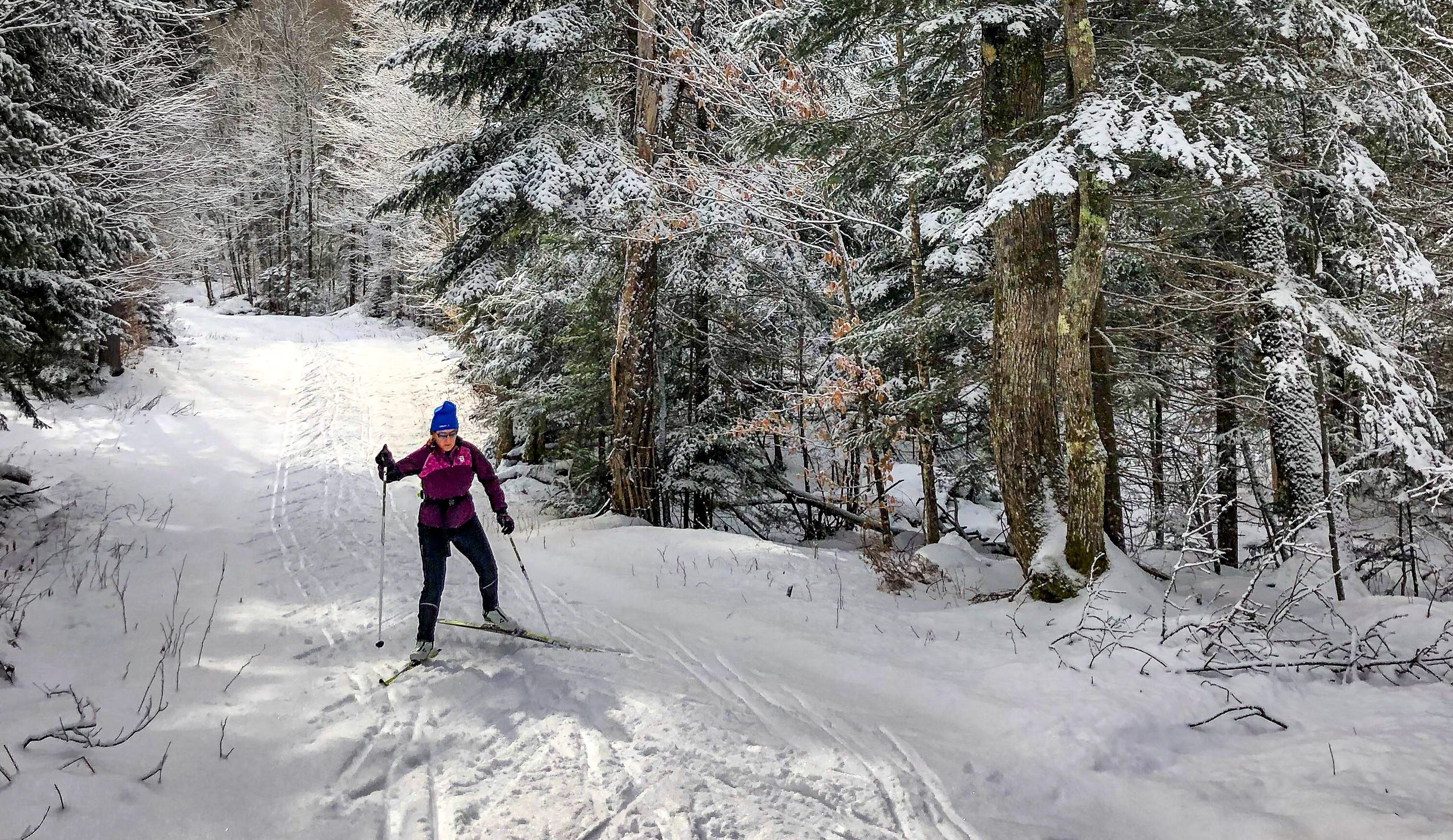 längdskidor i skogen.