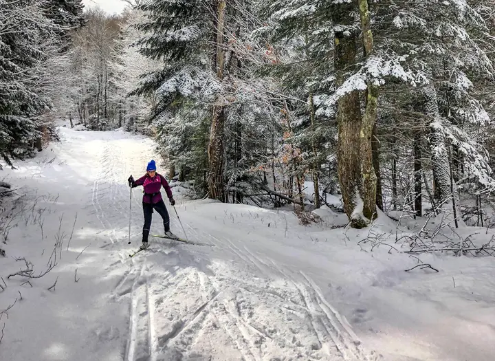 Längdskidåkning
