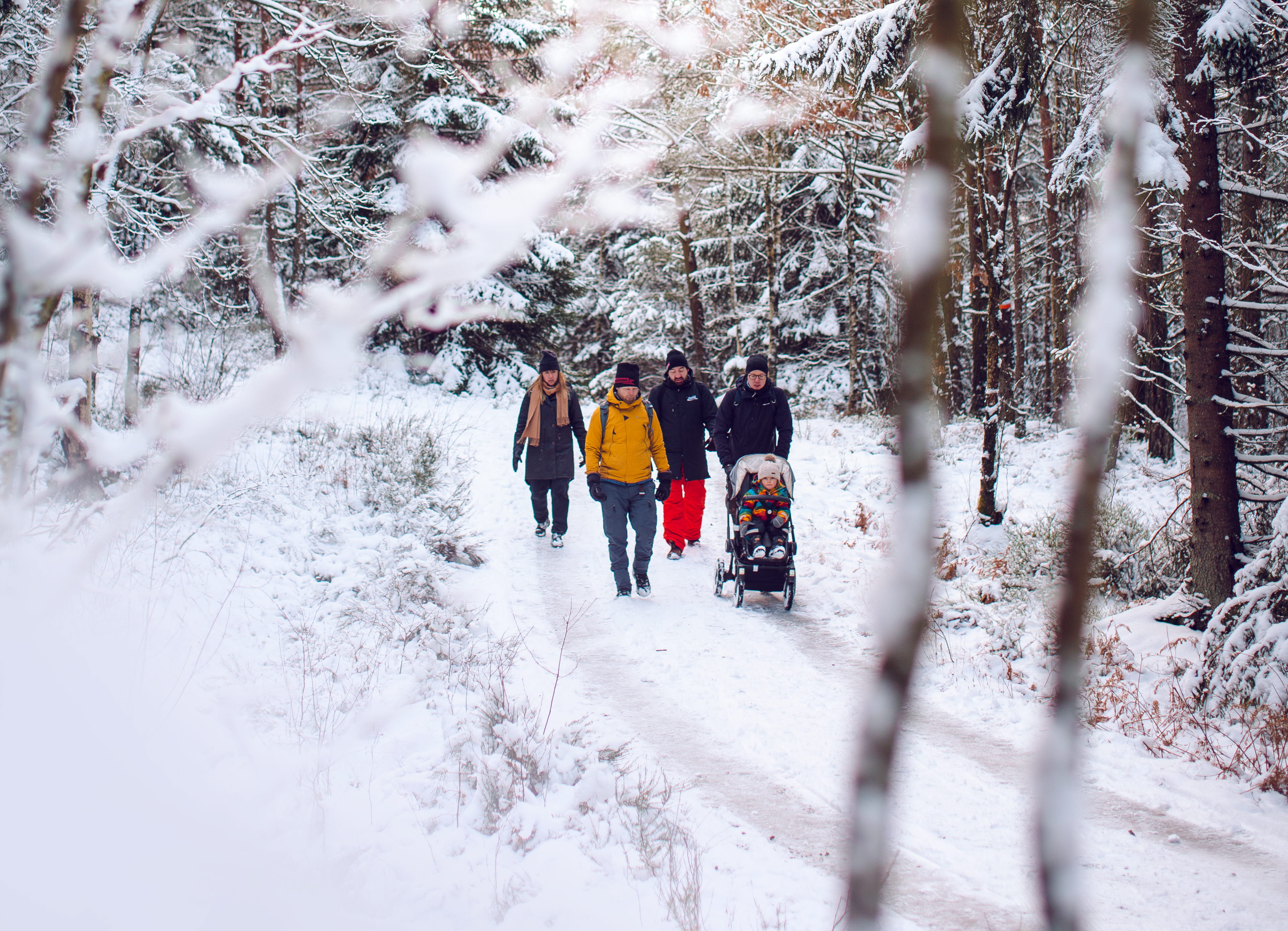 people walking in winter. 