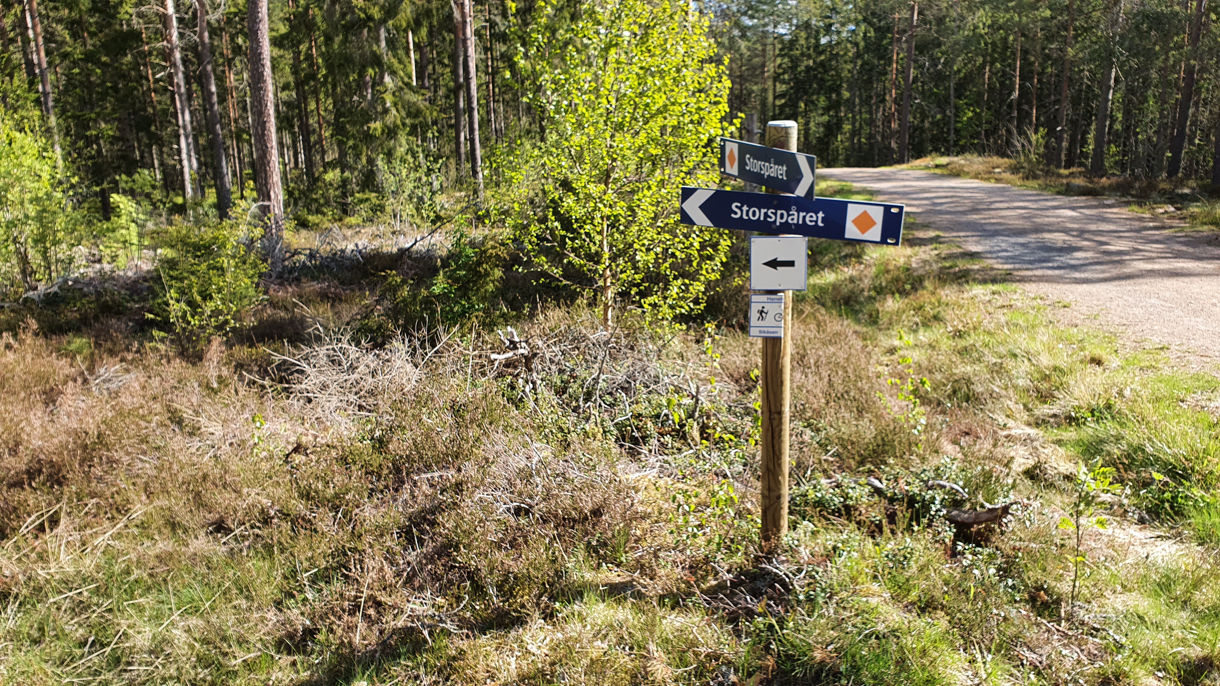 Storspåret