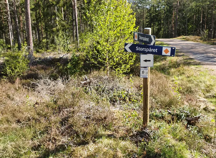 Storspåret