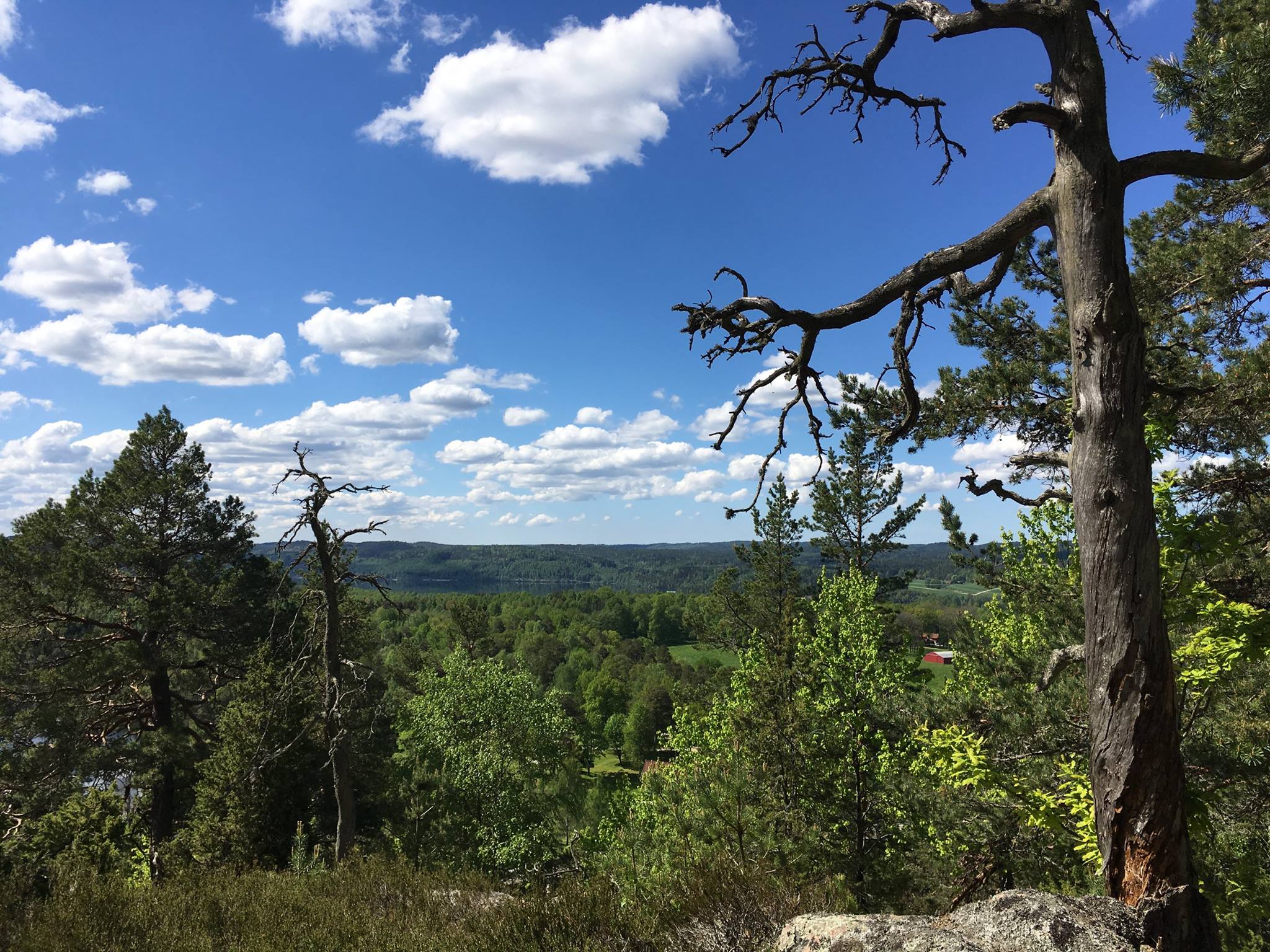 Brudkullen
