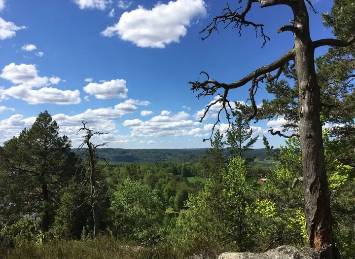 Brudkullens naturreservat
