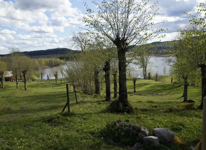 Vandringstips Bräcke ängar