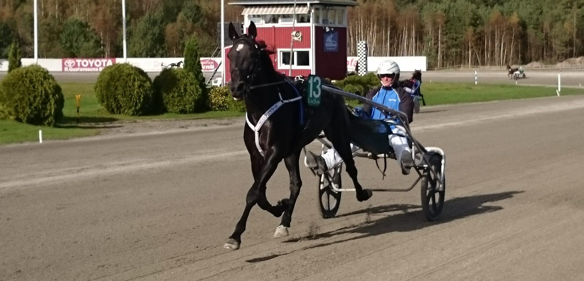 Åmålstravet