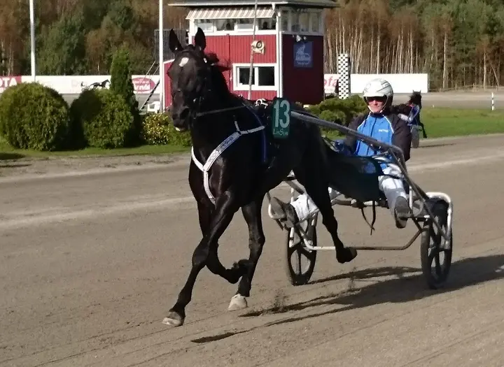 Åmålstravet