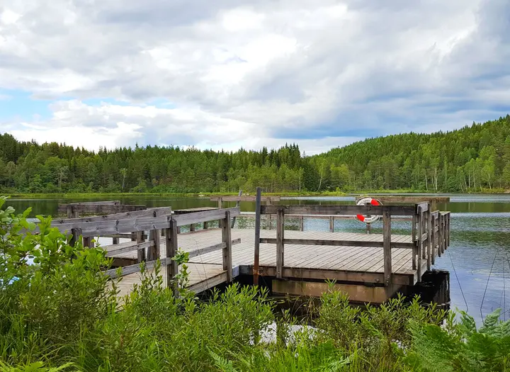 Ängebytjärnet FVO