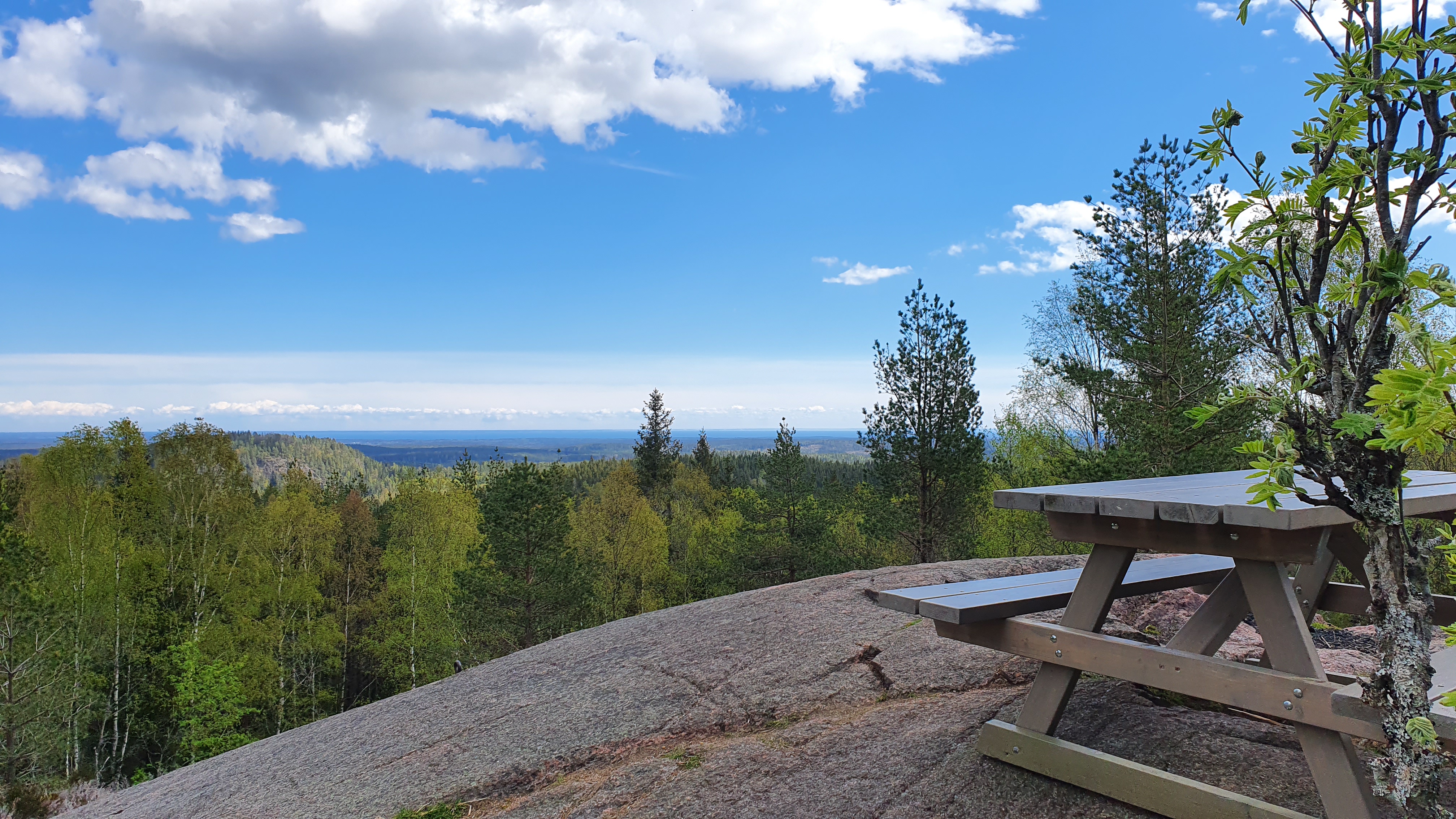 På toppen av Baljåsen i Edsleskog.