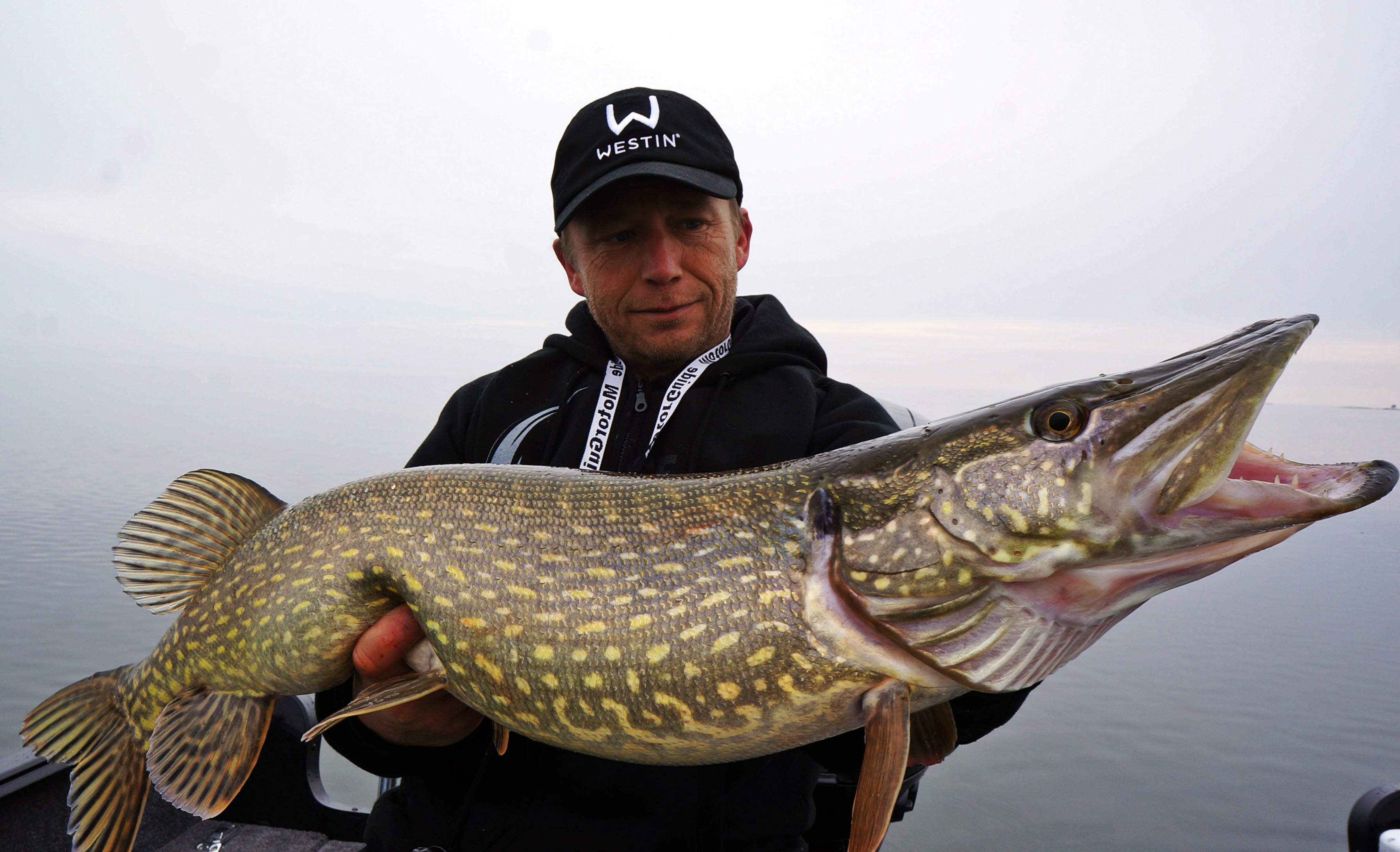 Sportfishing Dalsland med gädda