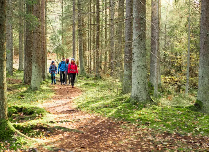 Friluftsfrämjandet Åmål/Säffle