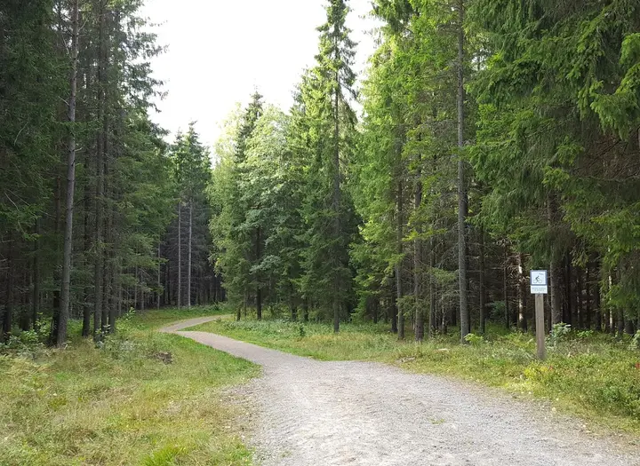 Hanebol–Forsbackabaden