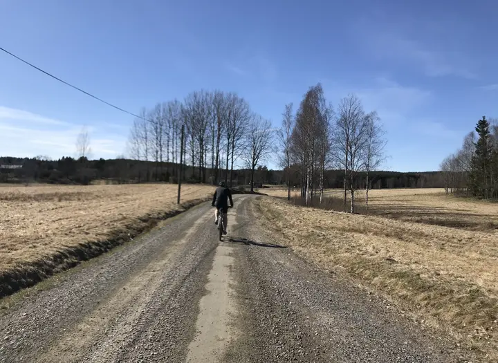 Forsbackaturen