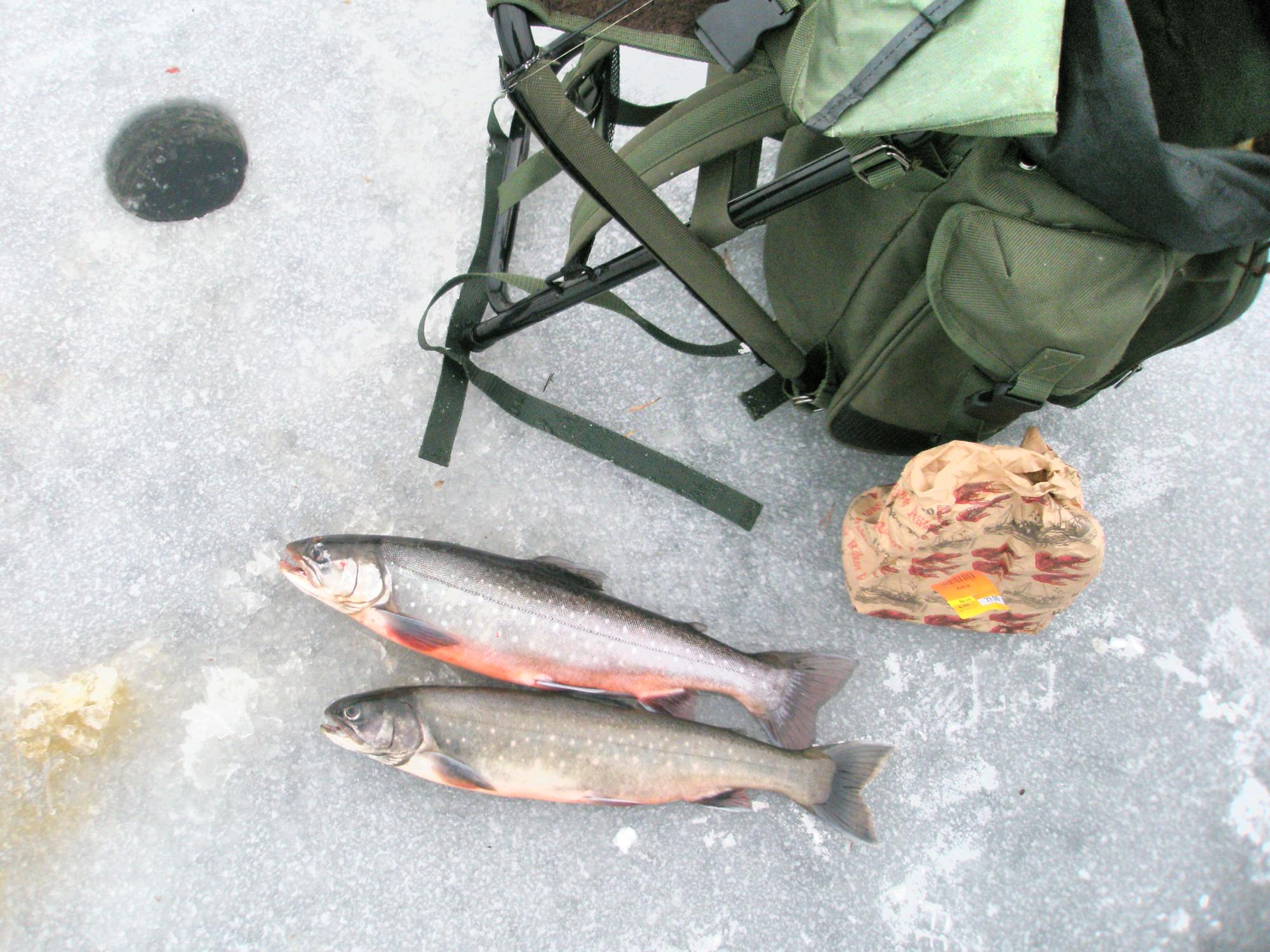 Ice fishing at Ängebytjärnet in Åmål