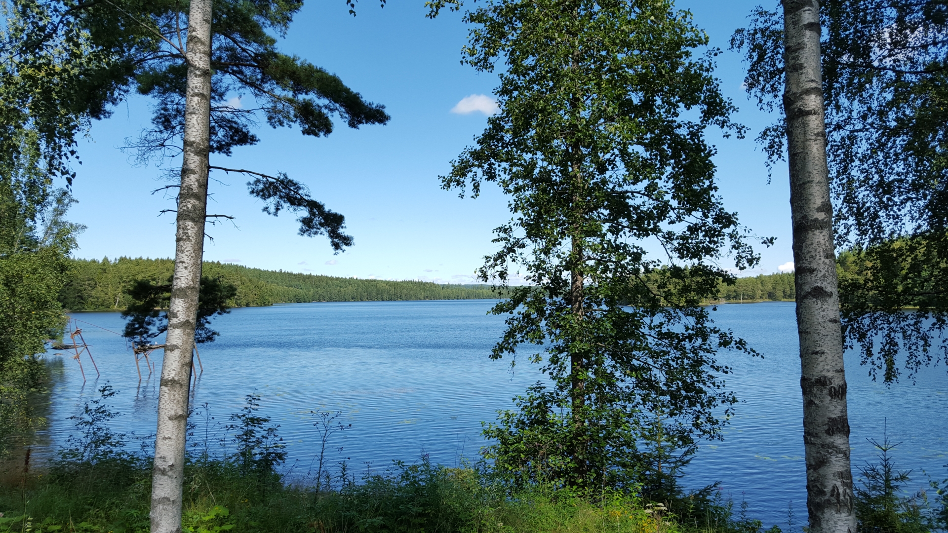 Kalvensjöarnas FVO