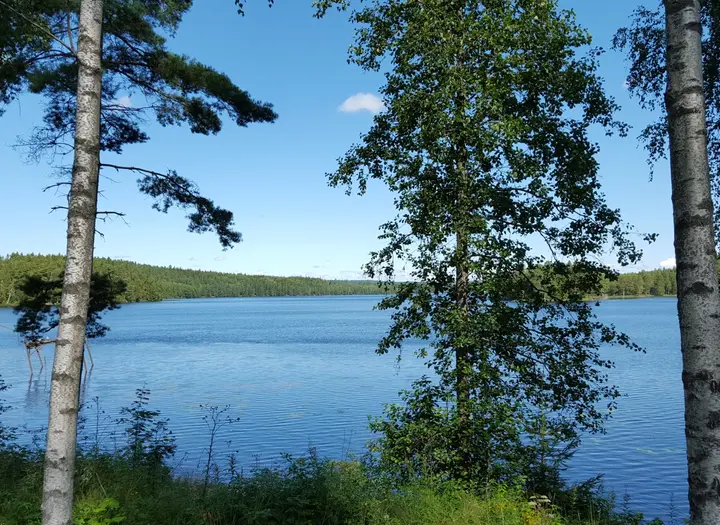 Kalvensjöarnas FVO