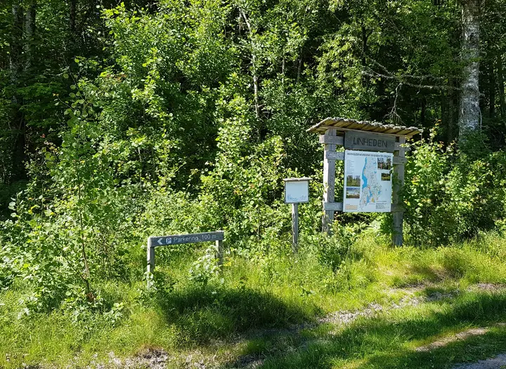 Linheden