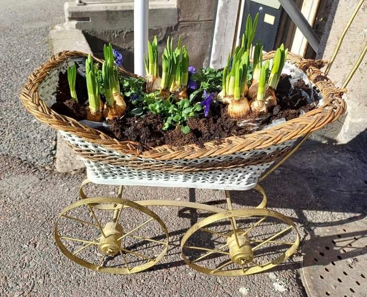 Lollo’s nytt och nött