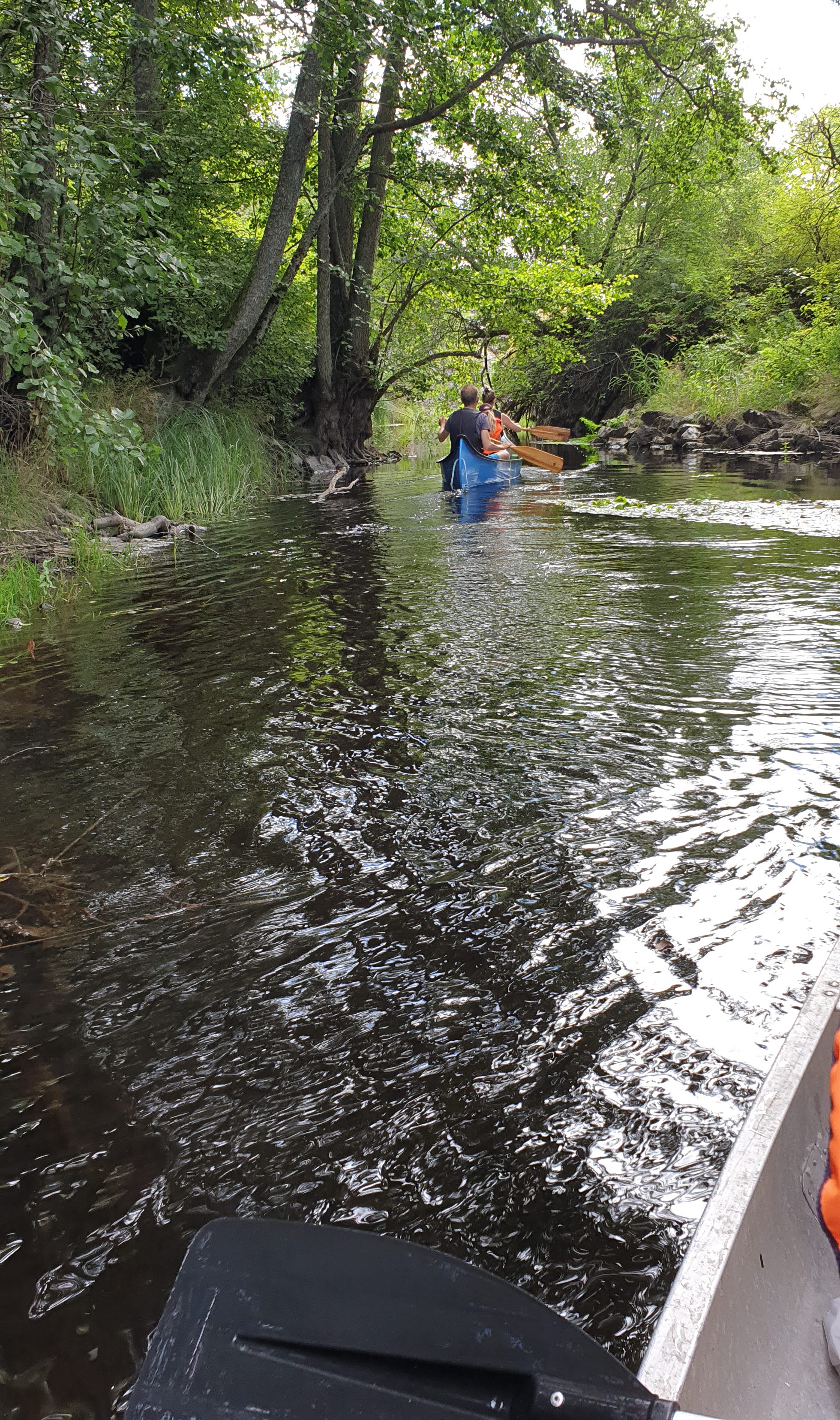 Rolfskärrs stugby utanför Åmål vid Vänern.