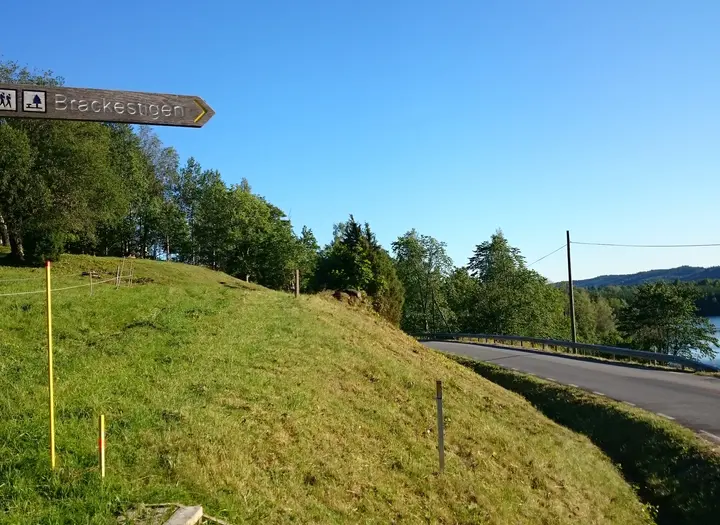 Knarrbysjöturen