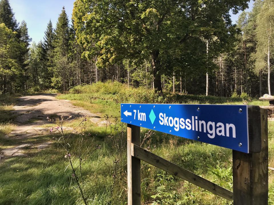 Mountainbike trail, Hanebol Åmål