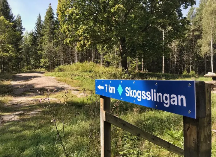 Skogsslingan - Blå spåret