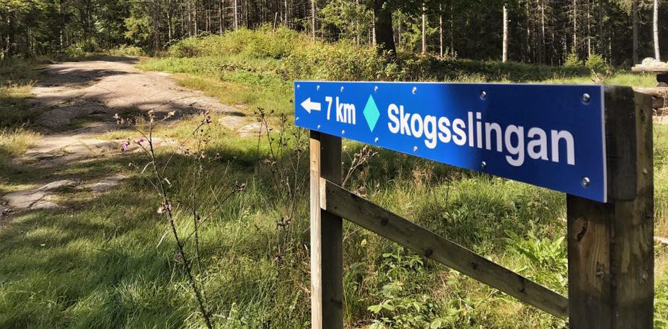MTB-led Skogsslingan, Hanebol Åmål