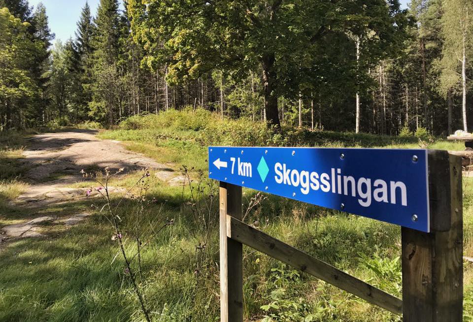 MTB-led Skogsslingan, Hanebol Åmål