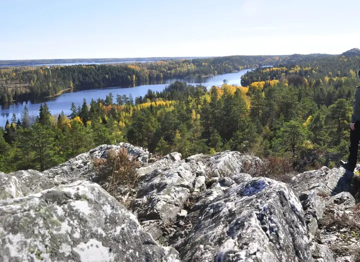 Sörknattens naturreservat