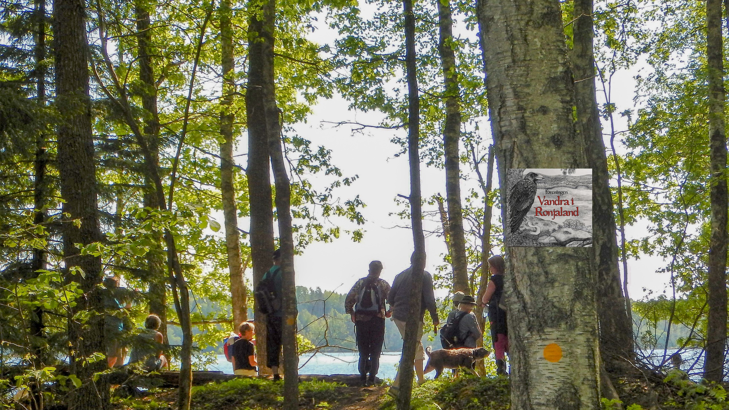 Vandrare i lövskog. Vandra i Ronjalands logo sitter monterad på en trädstam.