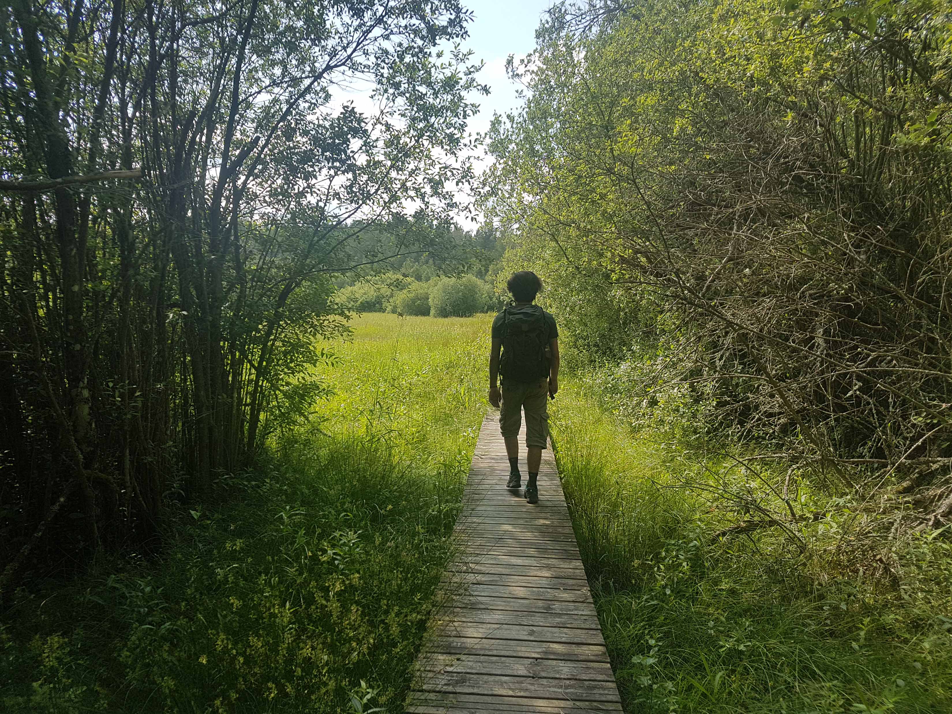 Vandrare på en spång