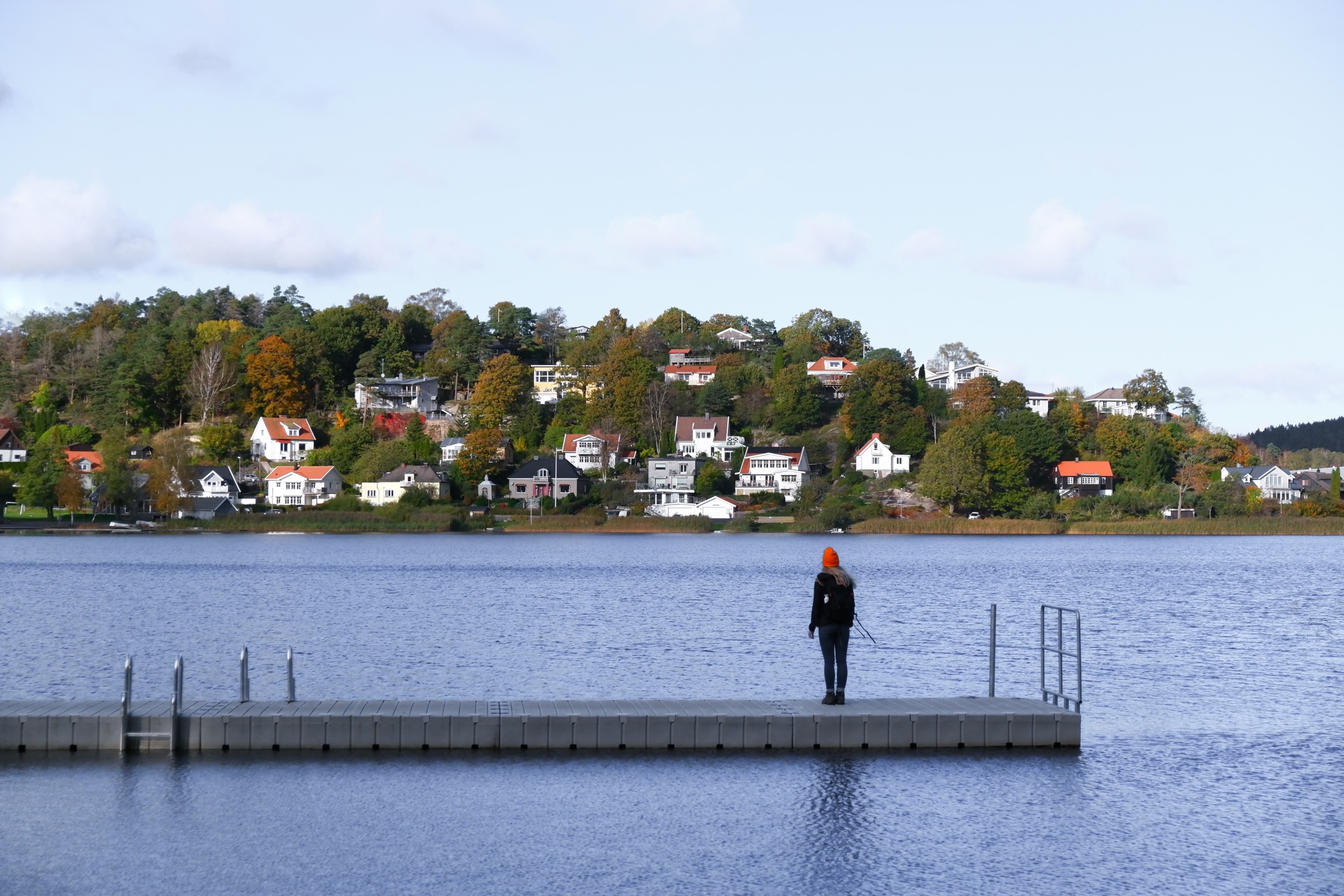 Naturescanner sea and houses