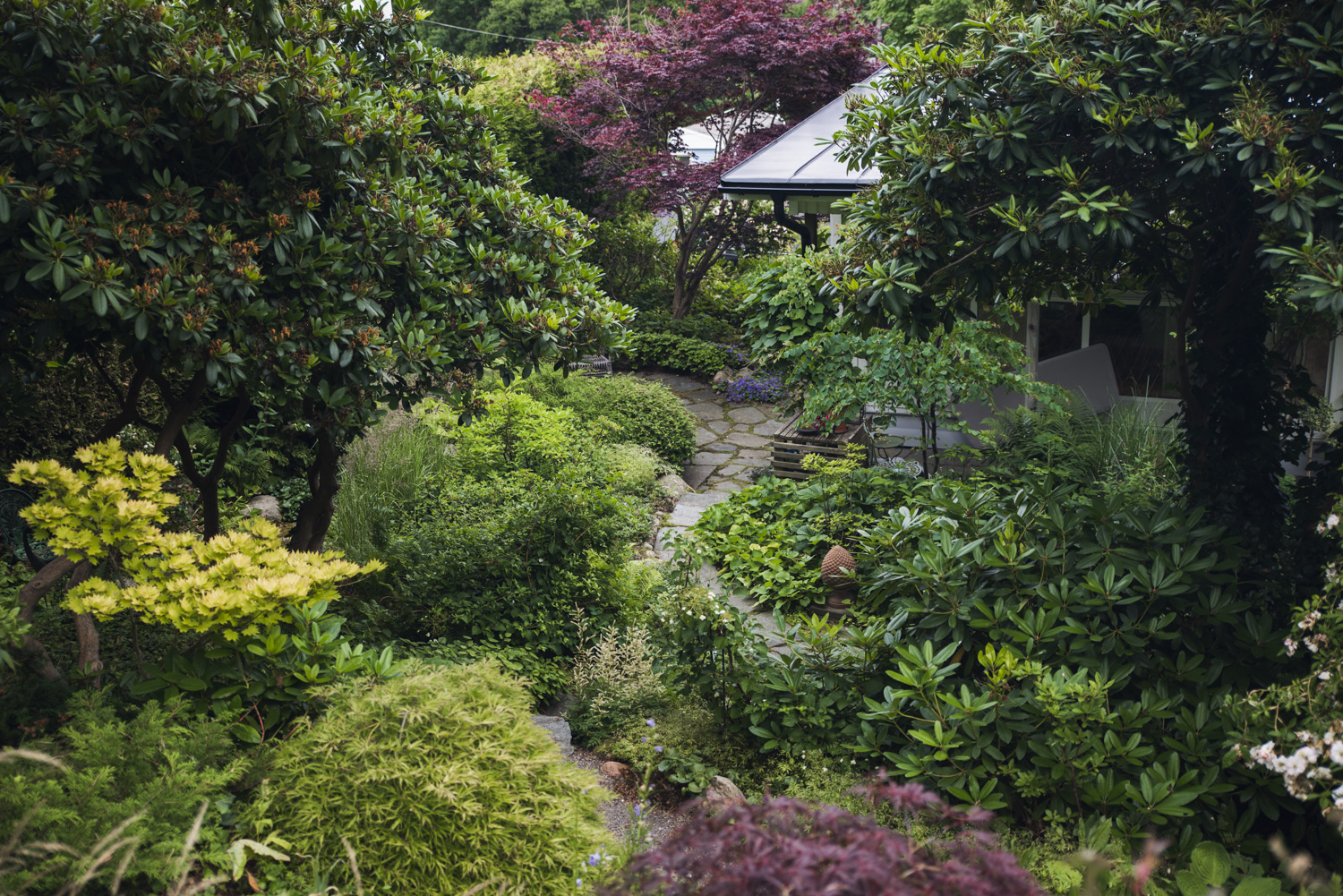 Trädgård med grönskande växter.