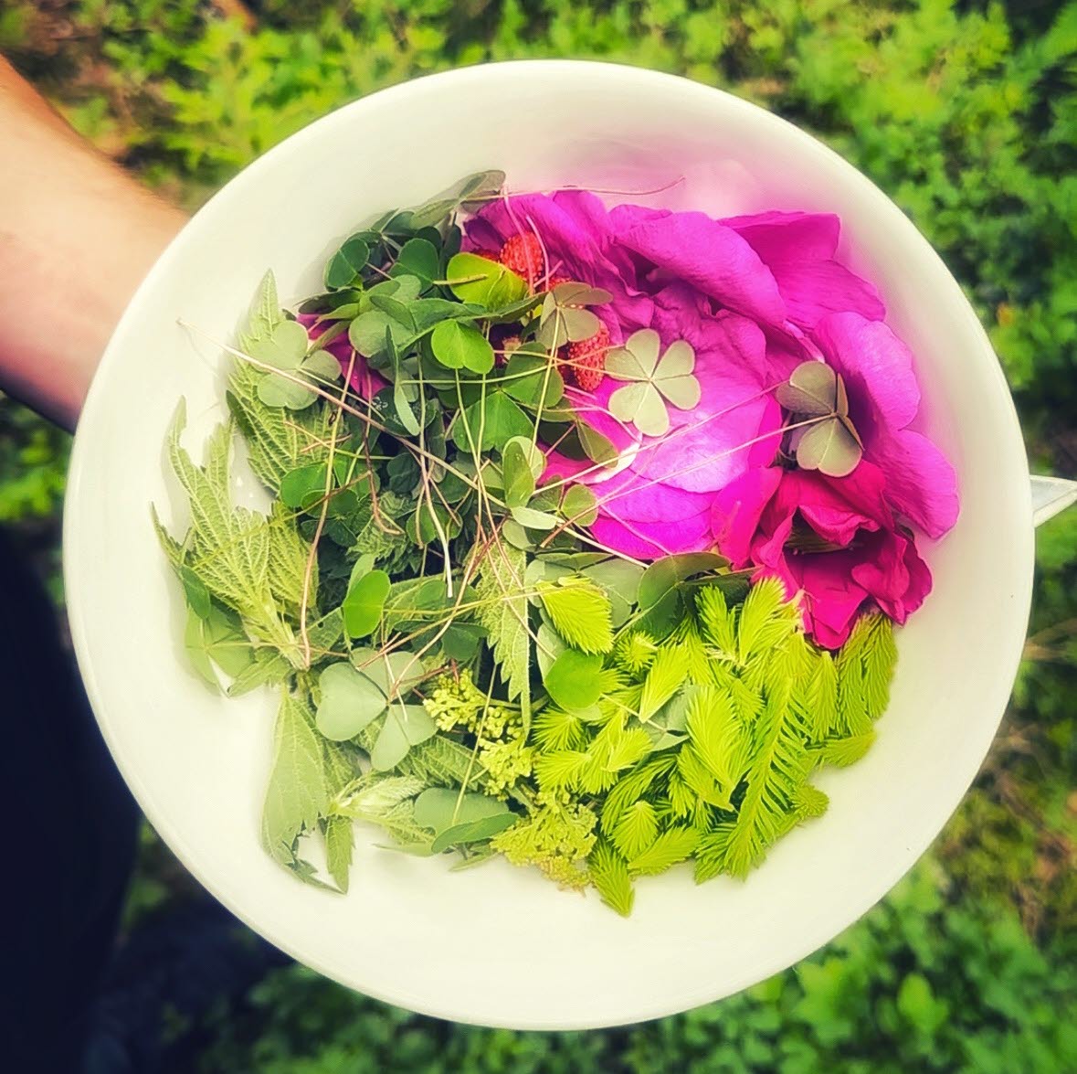 Dish from Ragneruds kök