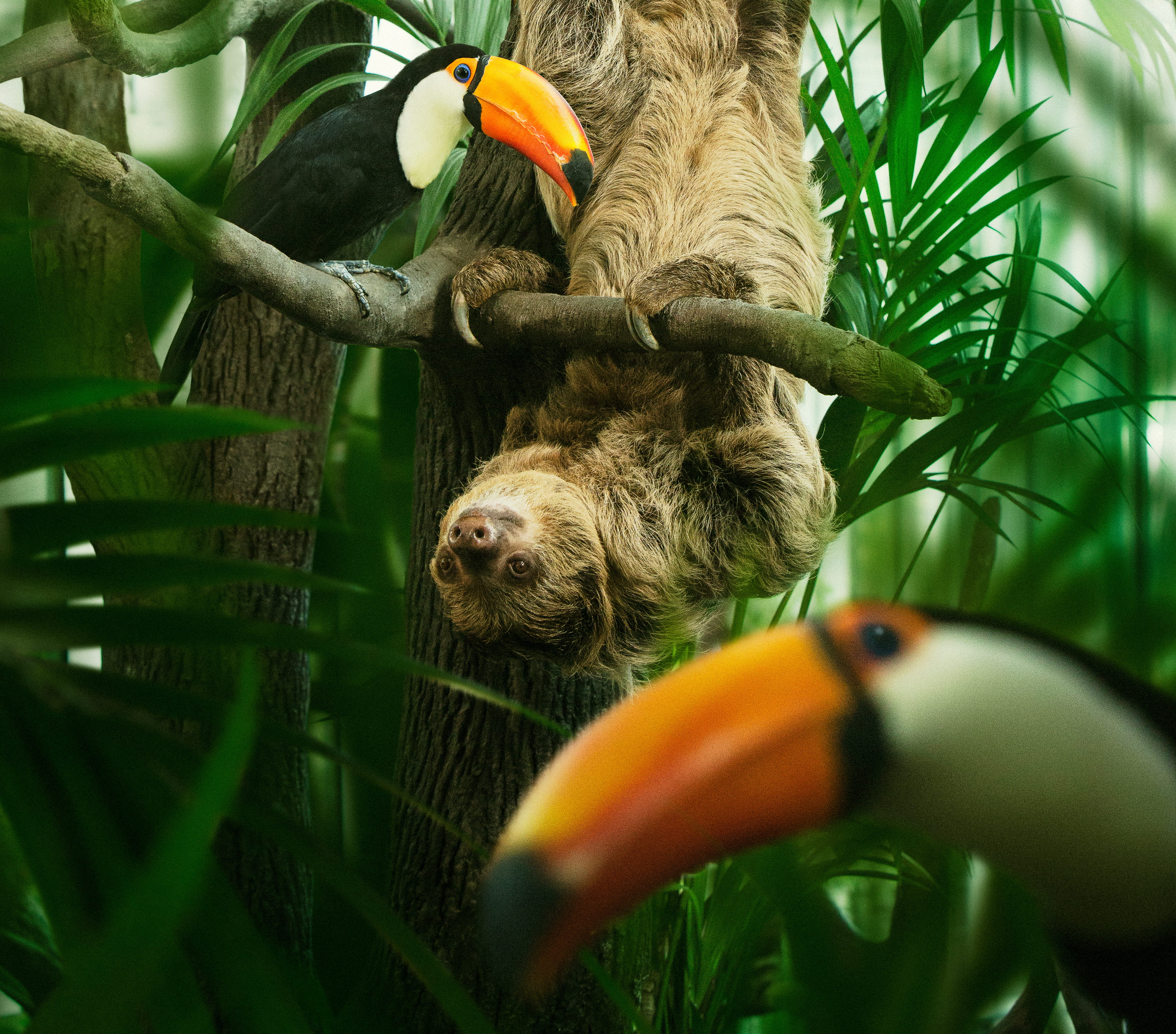 Animals at Universeum.