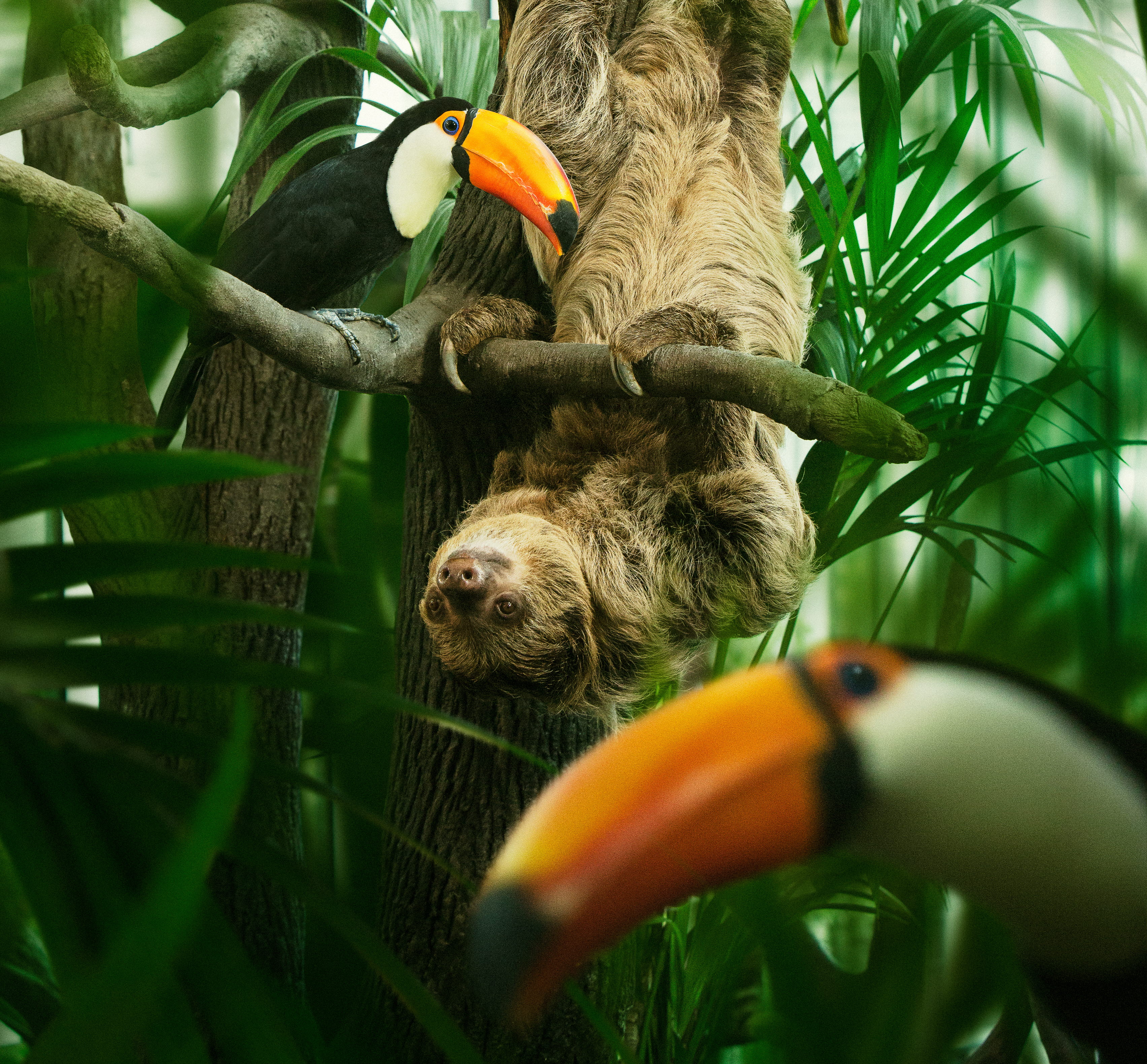 Animals at Universeum.