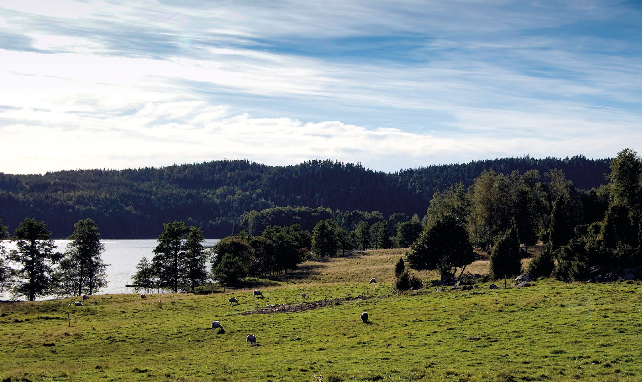 Naturreservat Kölviken