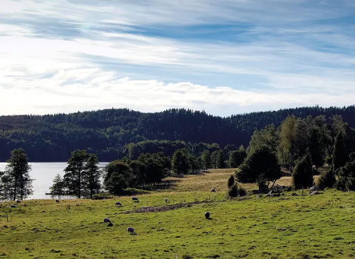 Kölviken Naturreservat