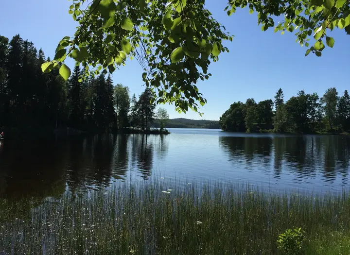 Ärtingens fvo