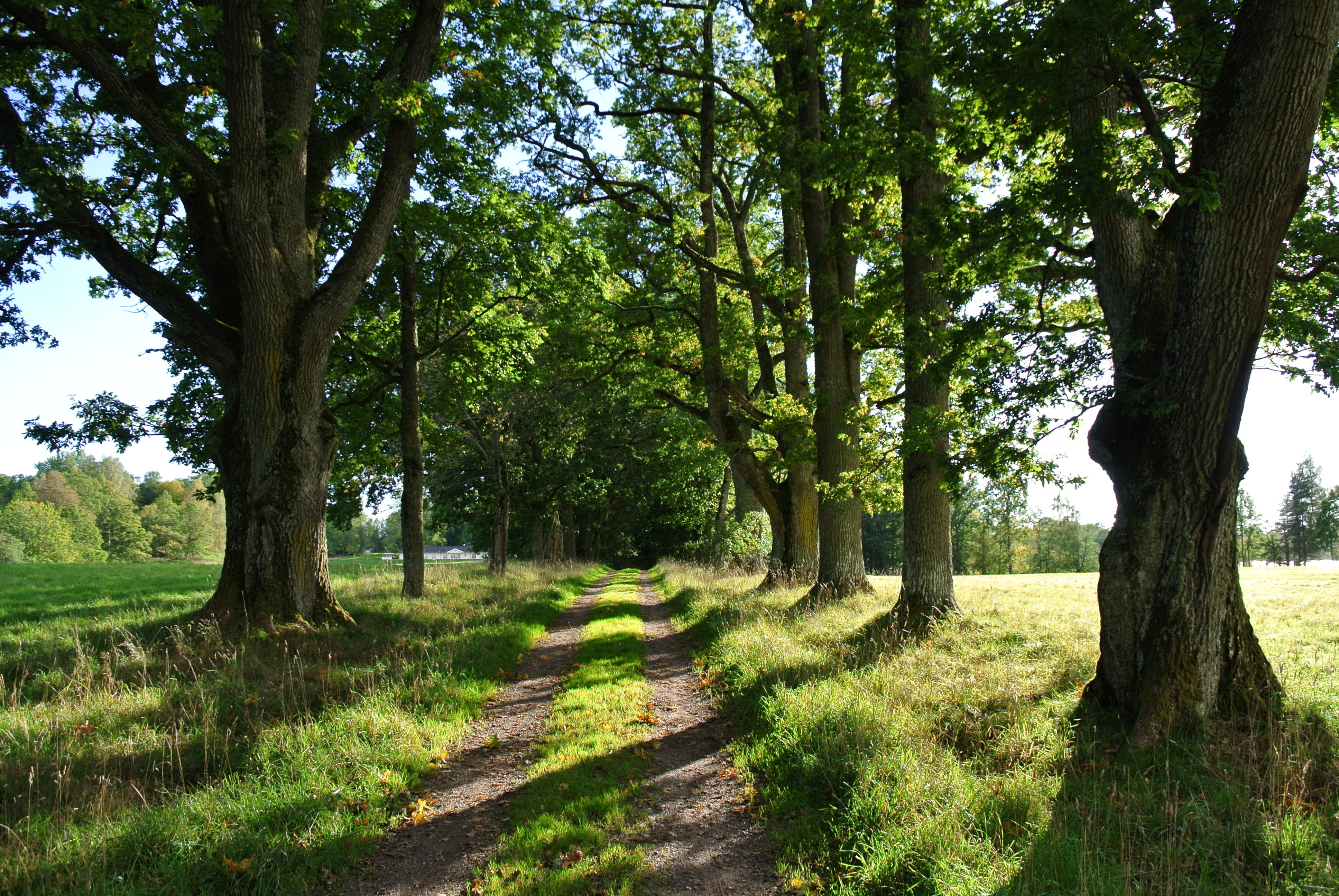 Naturreservat Baldersnäs