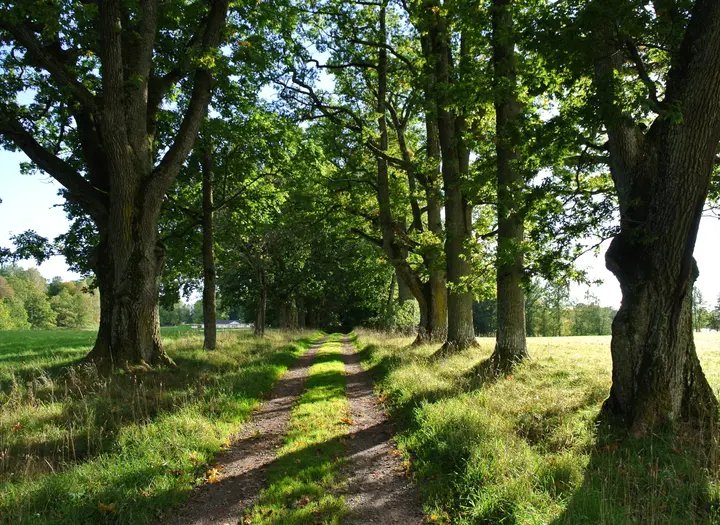 Baldersnäs naturreservat