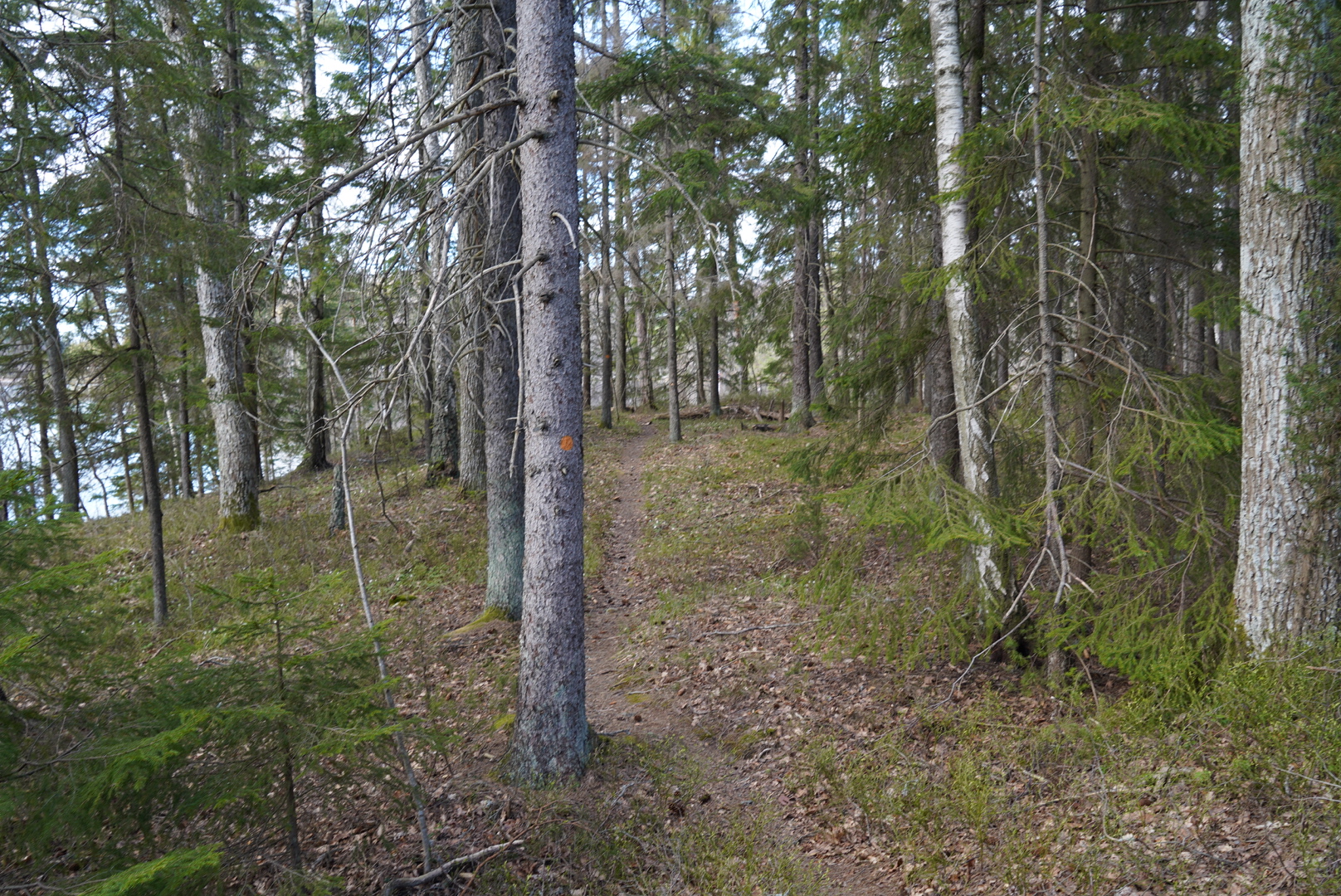 vandrigsled i Buterud Naturreservat