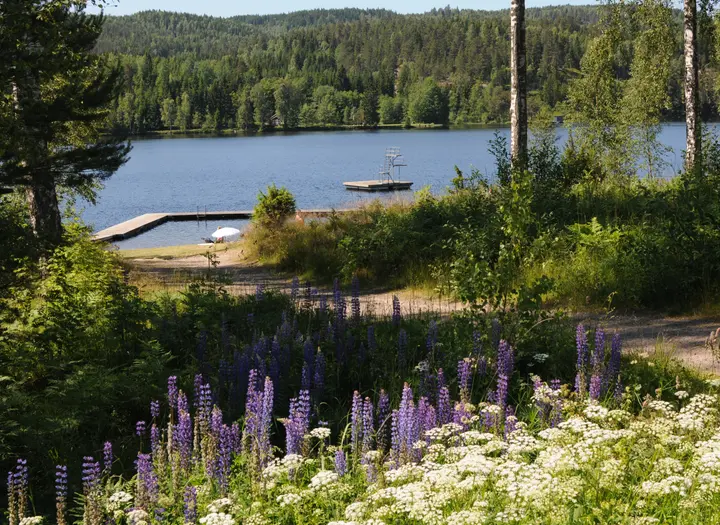 Badplats Kampudden