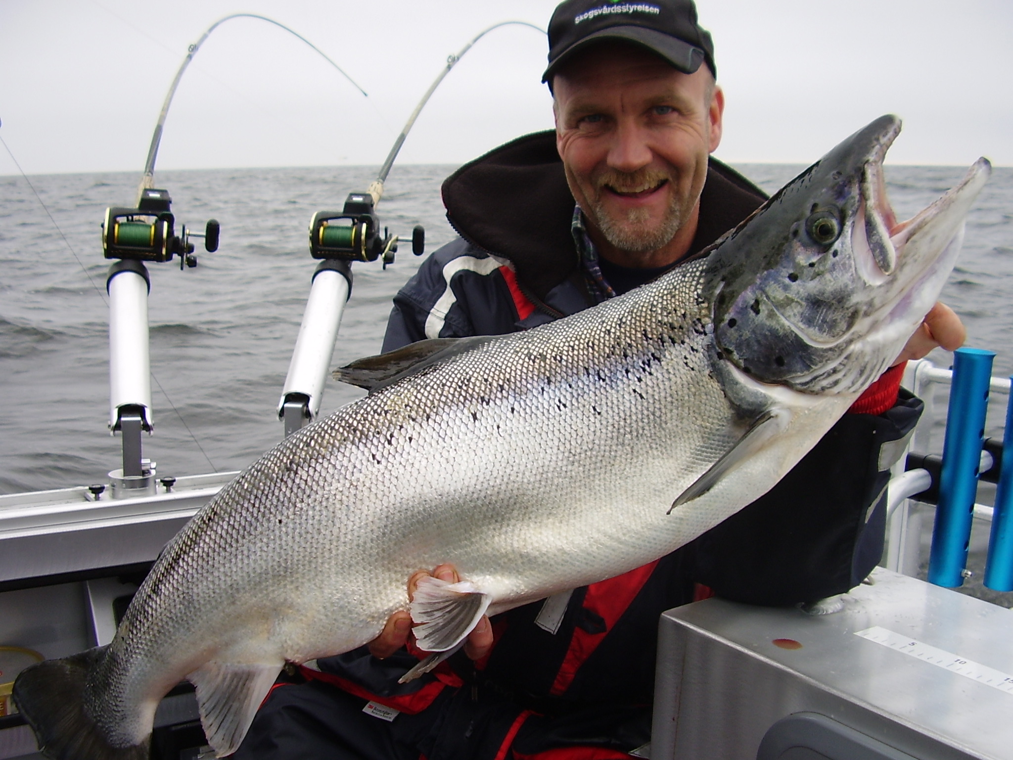 Laxtrolling vid vänern med Tommy Nerstrand