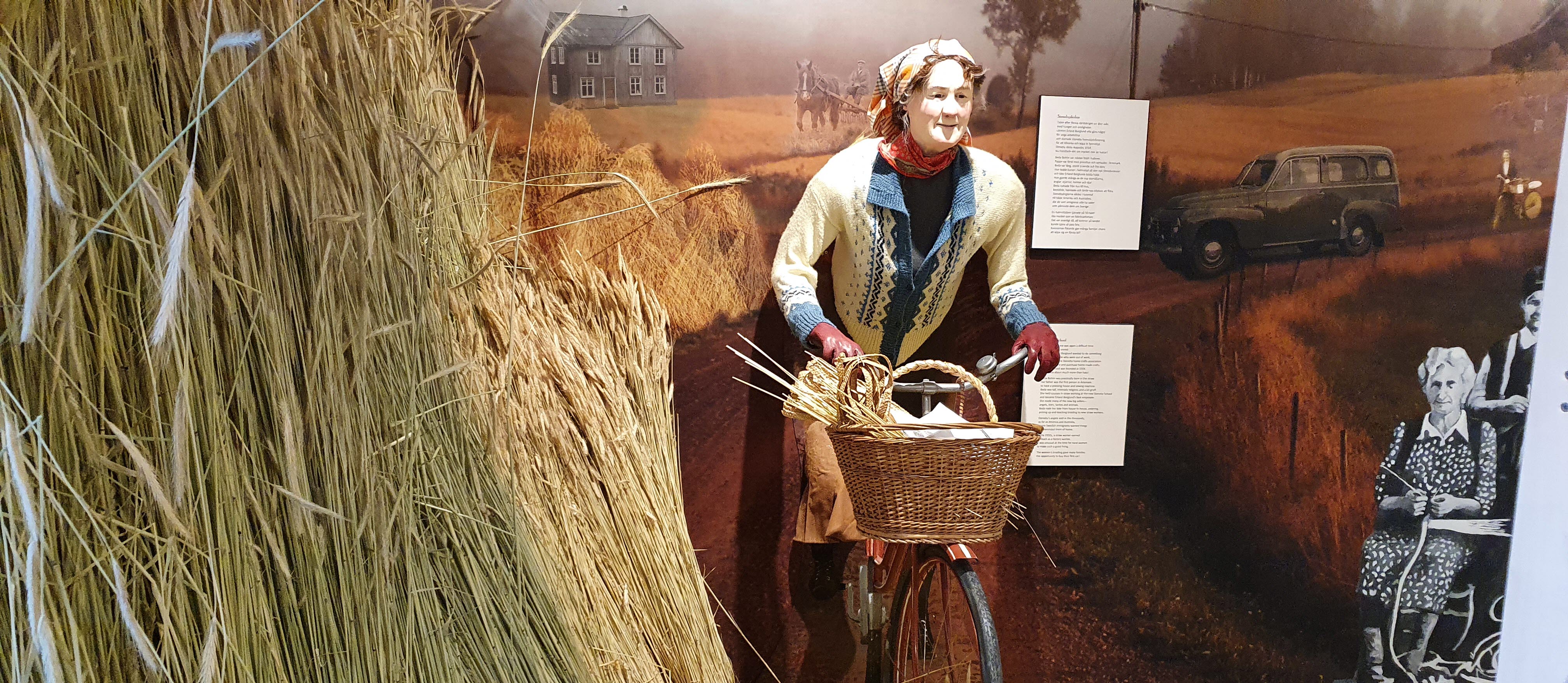 Utställning på Halmens hus. Dam cyklar mot nya mål. 
