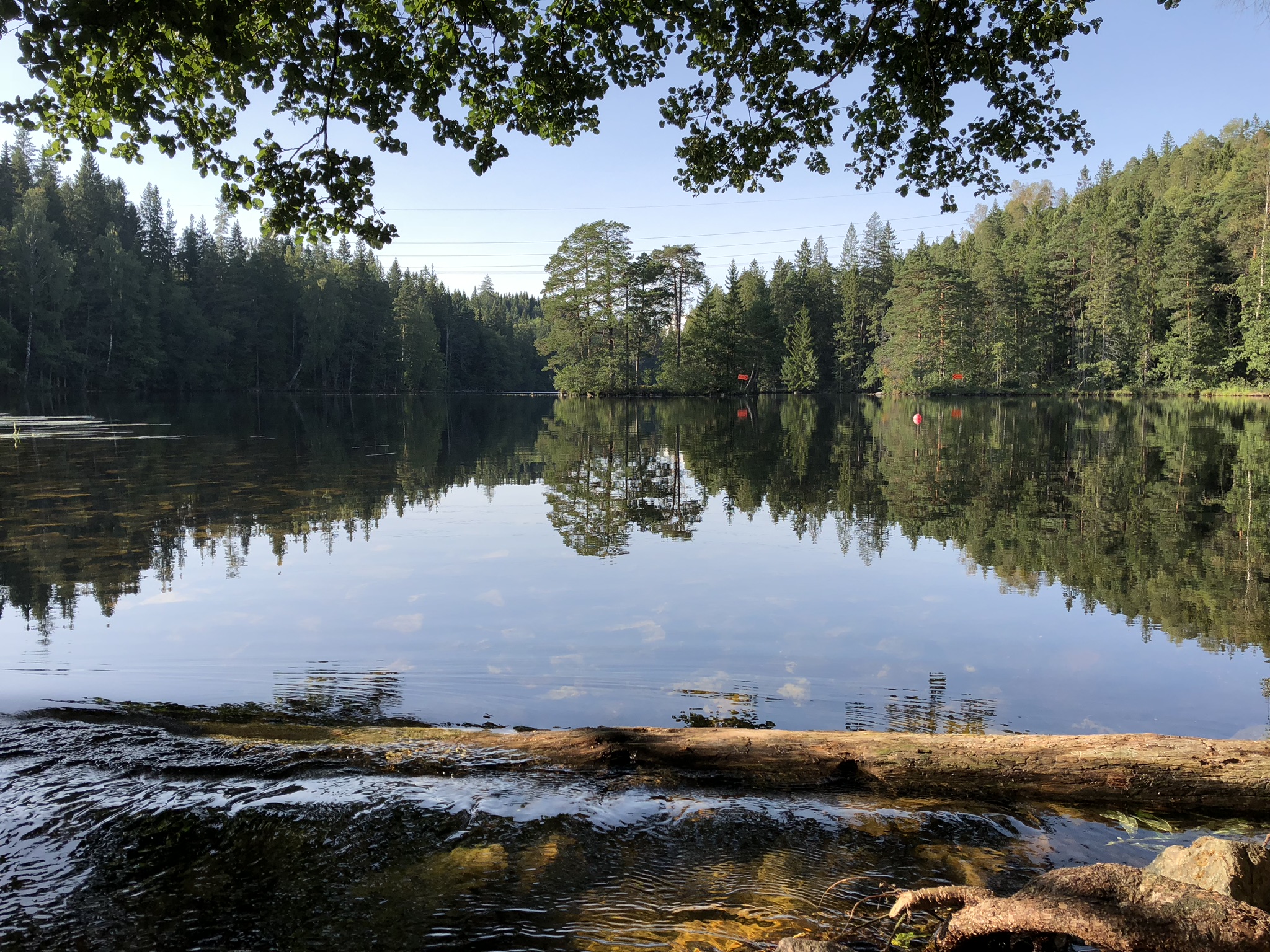 Höljerudsforsarna FVO