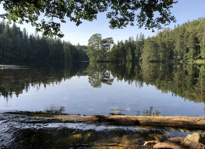 Höljerudsforsarna FVO