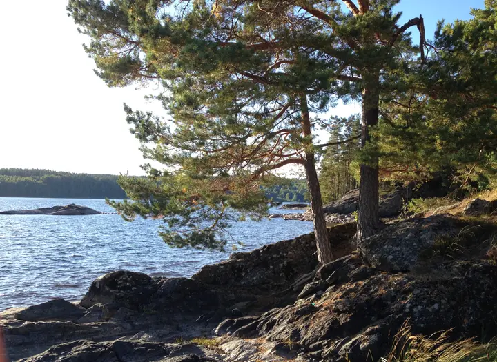 Ivägs FVO