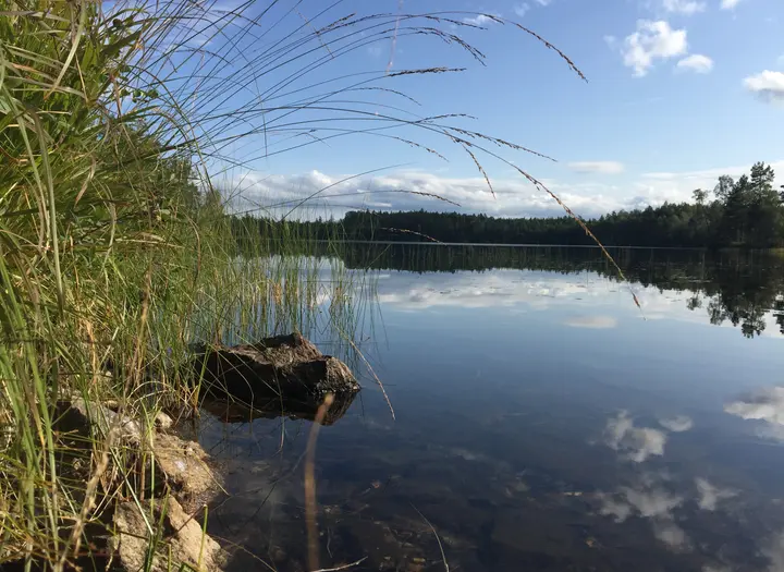 Lysetjärnsleden