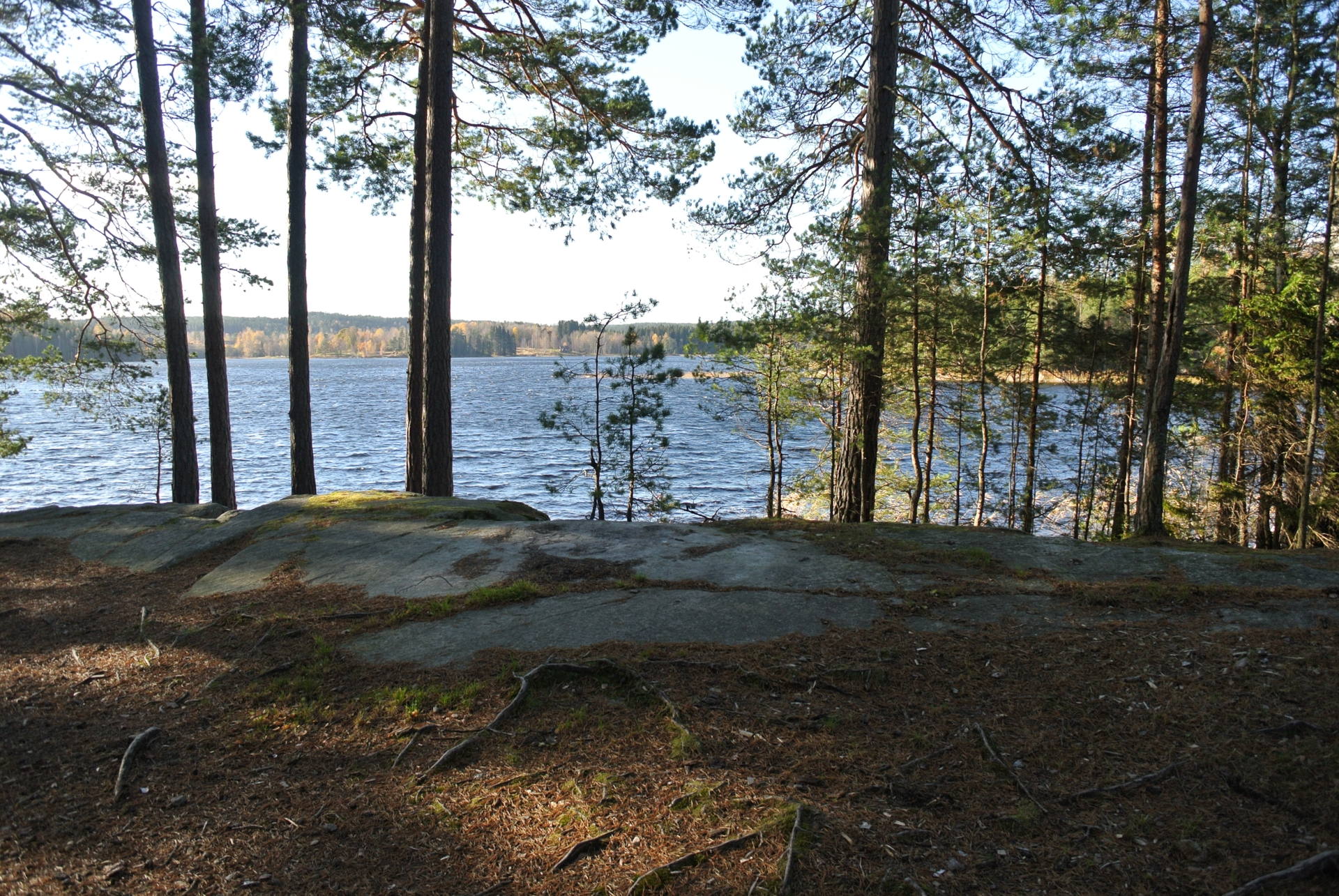 Norra Lelångs FVO